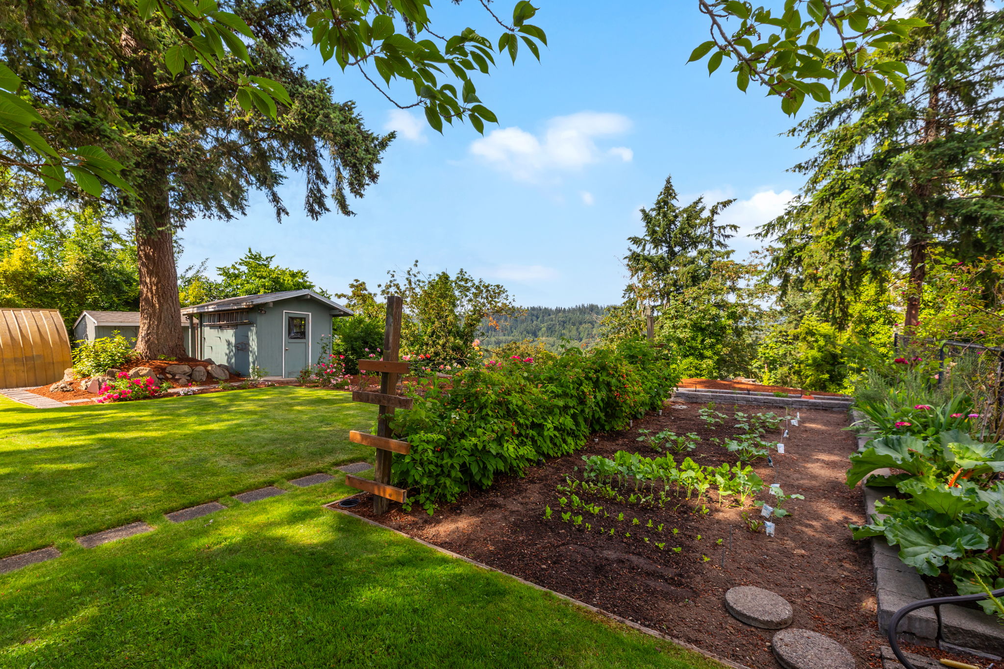 Garden Space - fruit & veggies