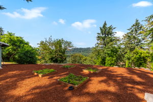 Strawberry patches