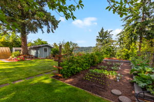 Garden Space - fruit & veggies