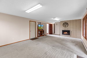 Lower Level - Family Room