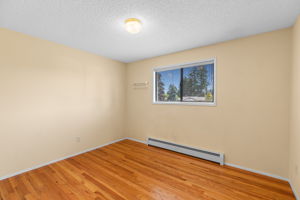 Main-level Bedroom #3