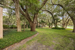 Enjoy the Lush Greenery!