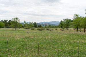  Photo 35