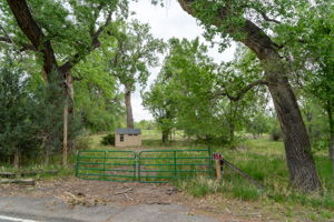  Photo 38