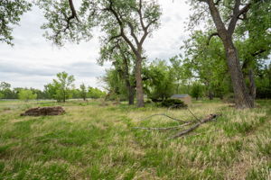  Photo 41
