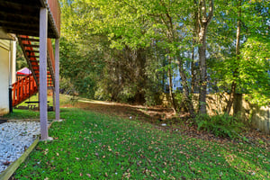 Merlot Ct-S2010-049.jpg
