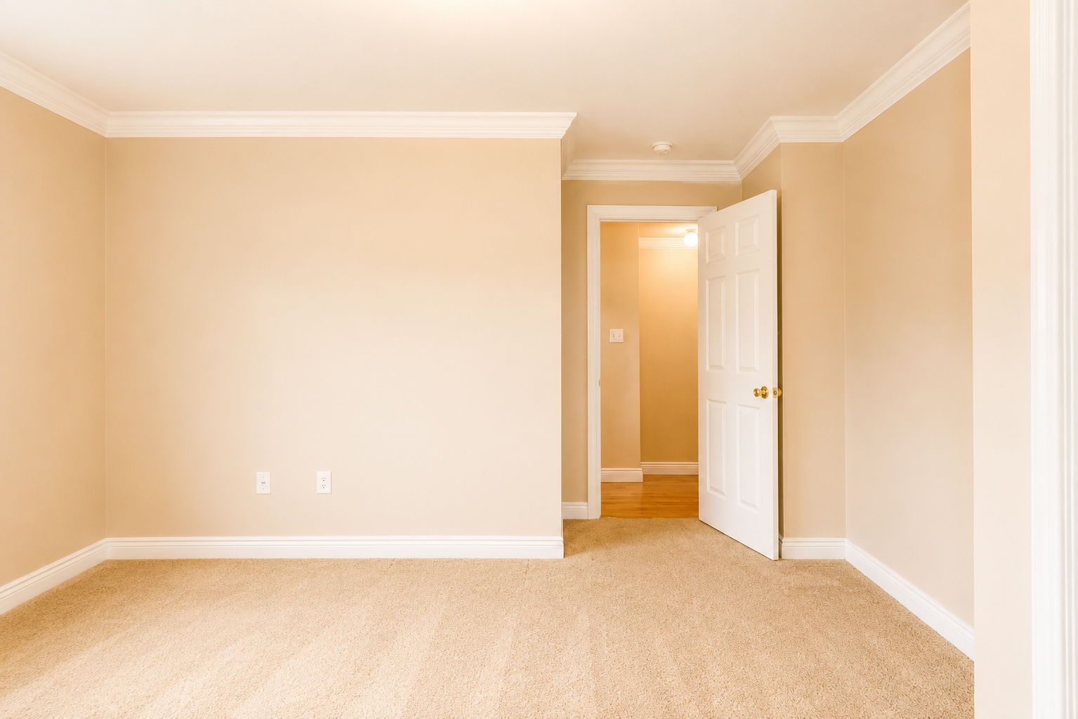  Photo 55
