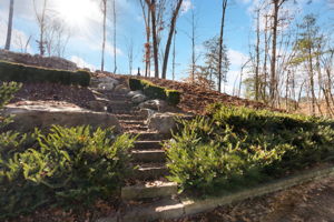332 Lee Pritchett Rd, Ellijay, GA 30540, USA Photo 74