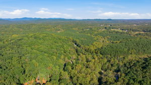 Image-56