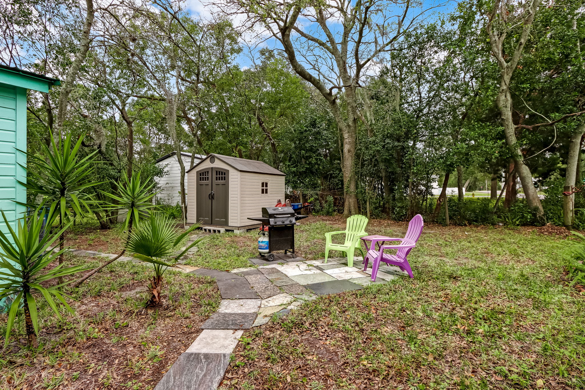 Back Yard