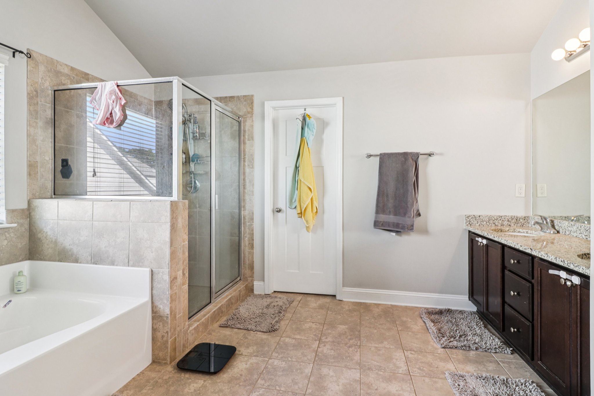 Mulberry Cv Wy-S1209-049.jpg