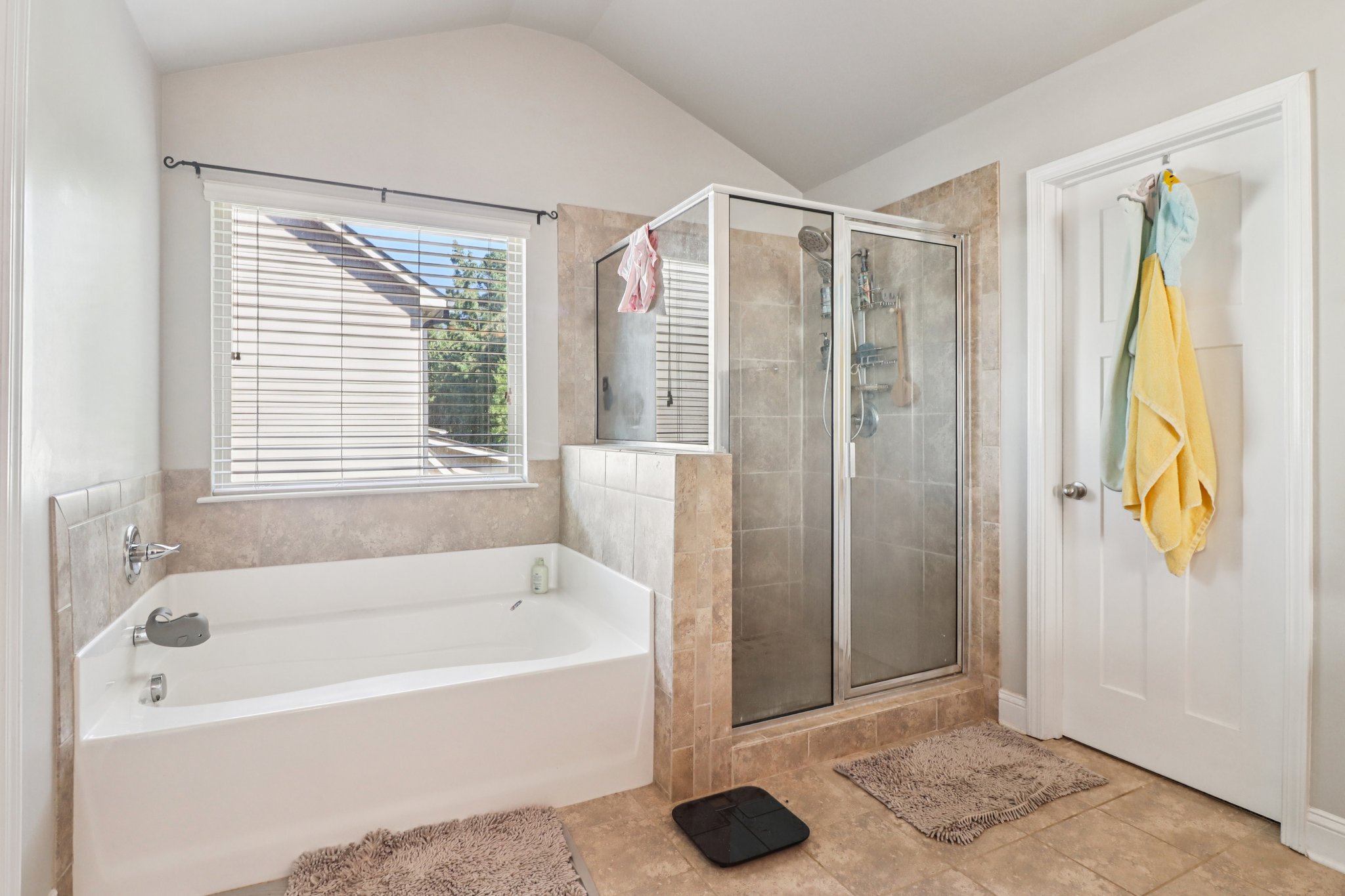 Mulberry Cv Wy-S1209-050.jpg