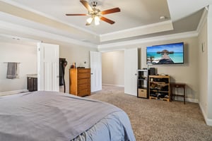 Mulberry Cv Wy-S1209-046.jpg