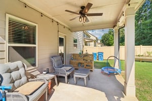 Mulberry Cv Wy-S1209-061.jpg