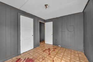  Photo 46