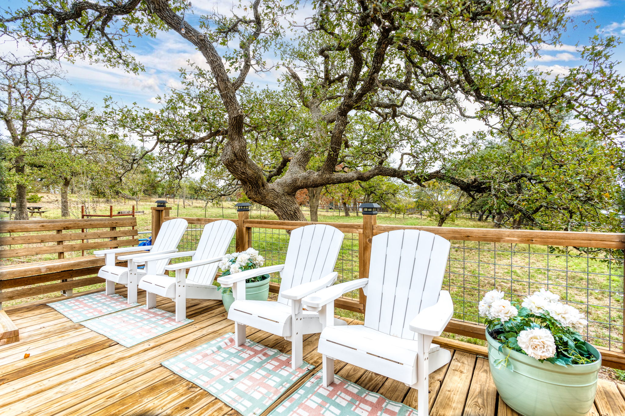 3323 Grape Creek Rd, Fredericksburg, TX 78624 MrHevia Media