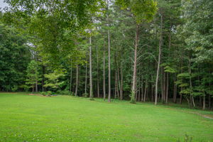  Photo 30