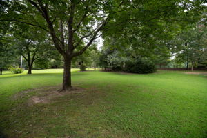  Photo 53