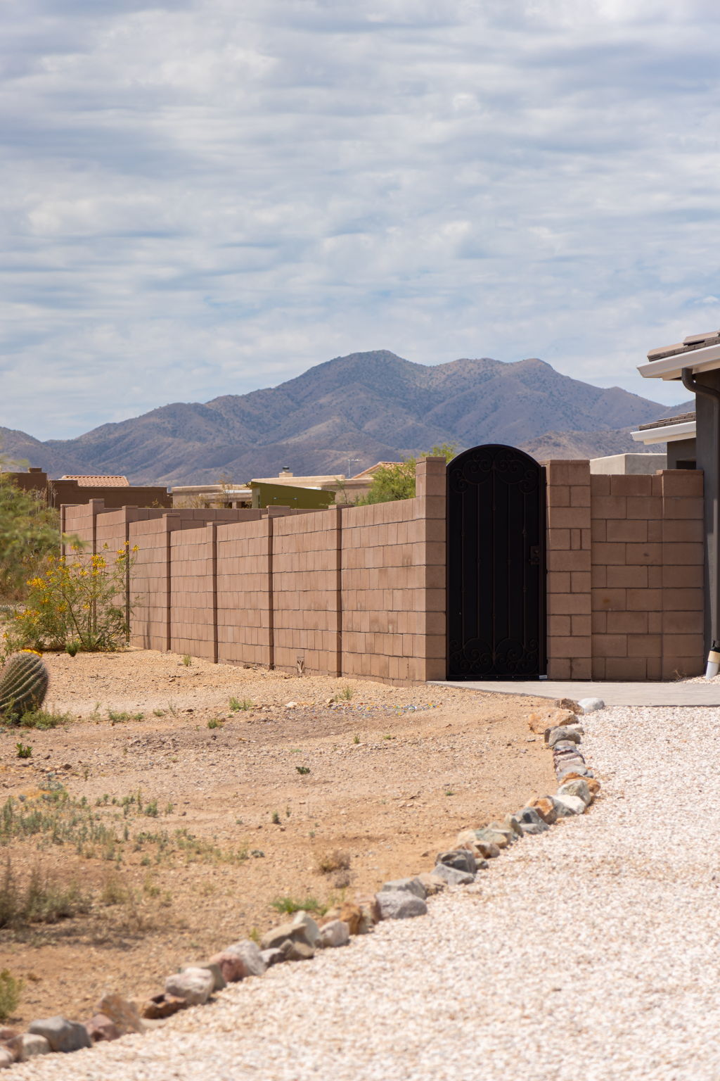 Santa Rita Mountain Views/ custom metal gate
