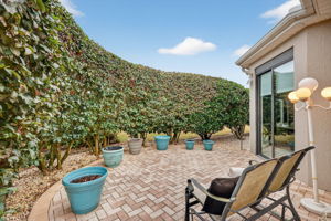 Rear Paver Patio with Mature Privacy Landscaping