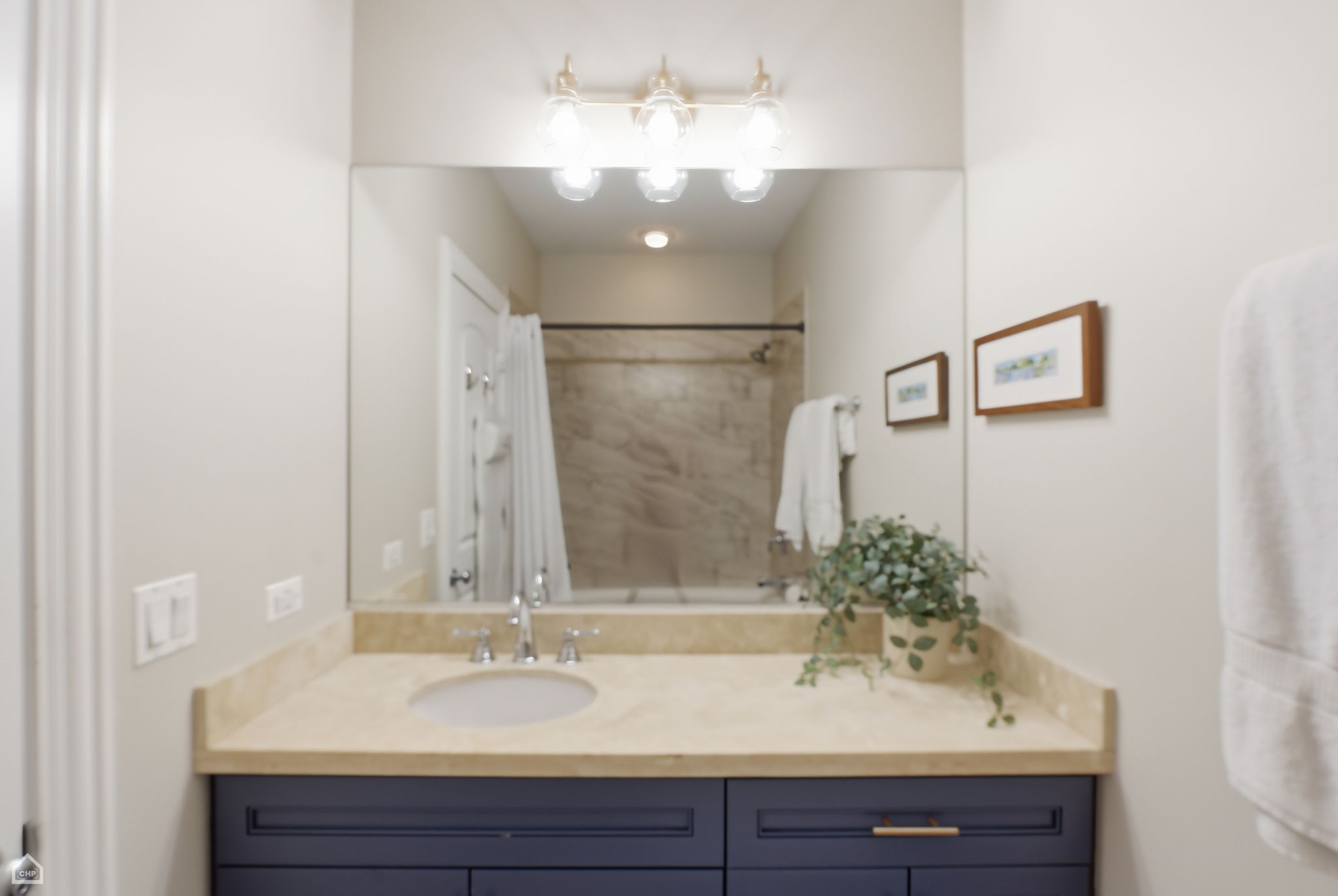 3325 N Seminary Ave 1N - Matt Liss_CHP2025_036