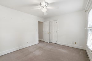  Photo 53