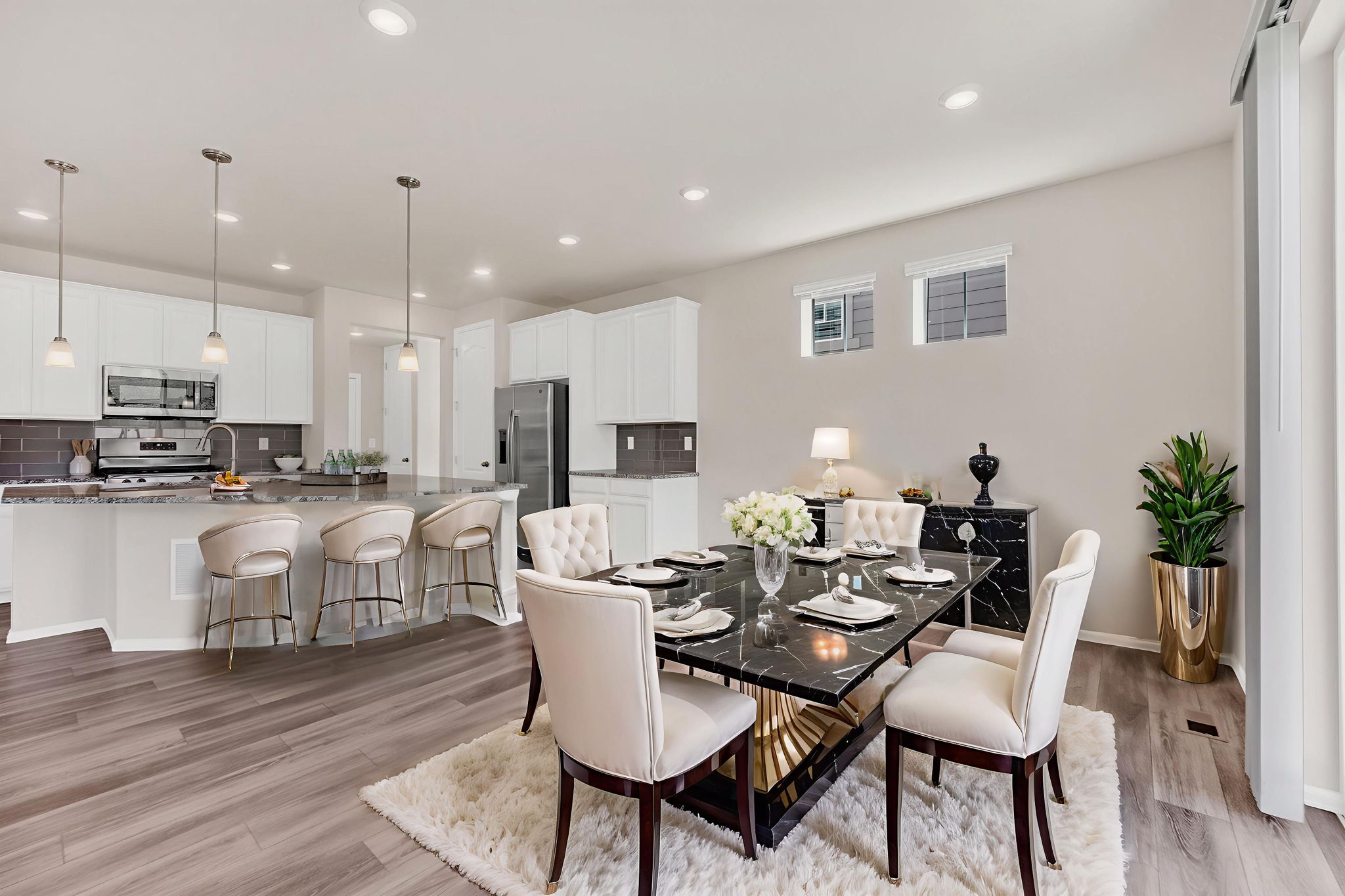 Dining Room/Kitchen - Virtual