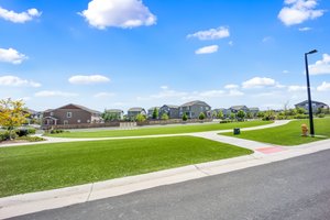 Park Across the Street