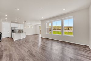 Great Room/Kitchen