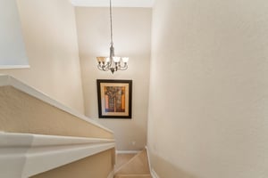 Dandolo Cir-011.jpg