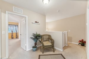 Dandolo Cir-015.jpg