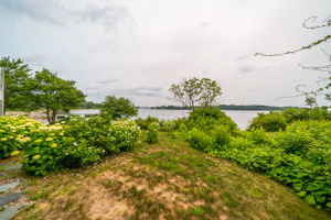  Photo 100