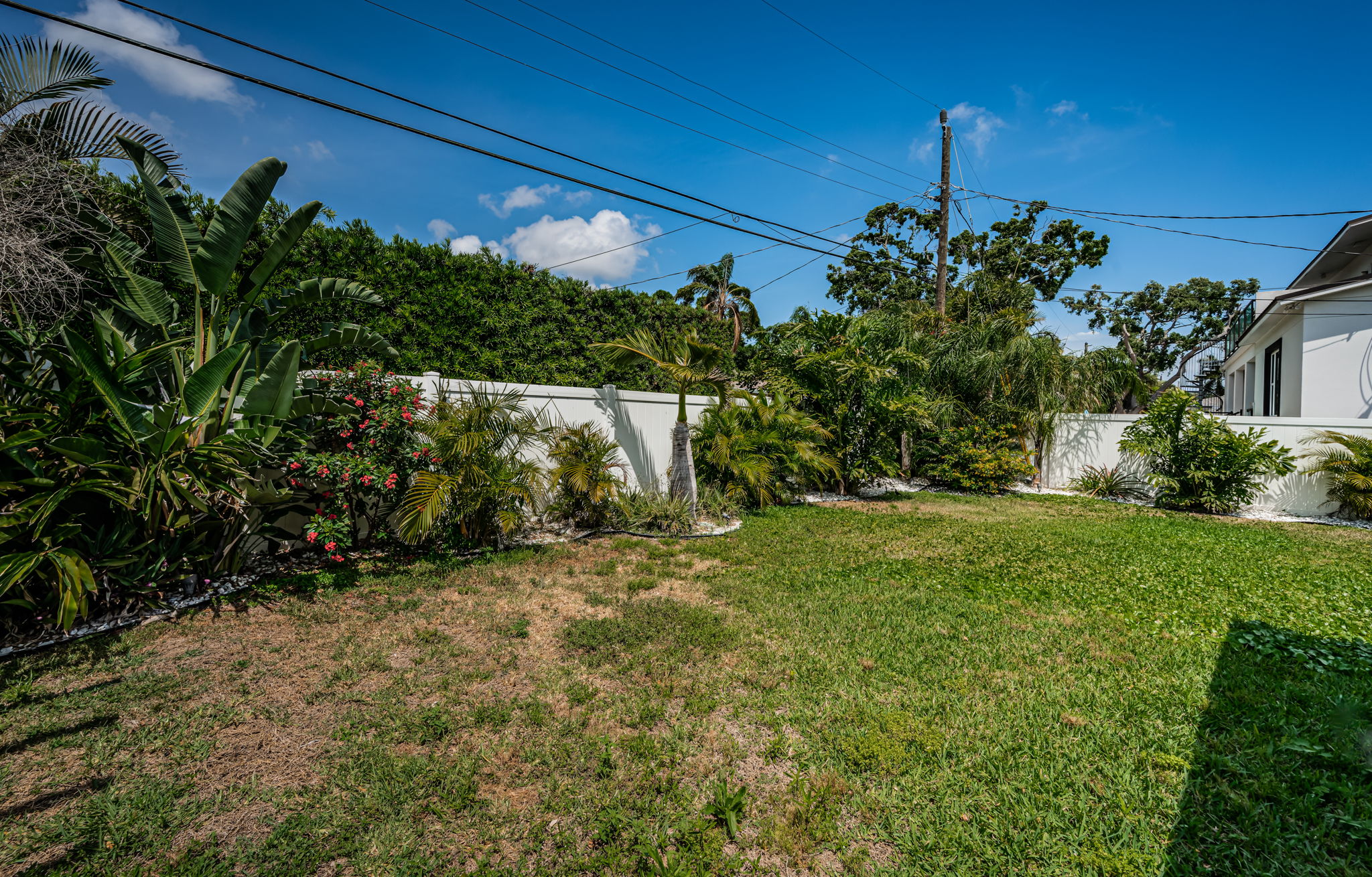 Backyard1