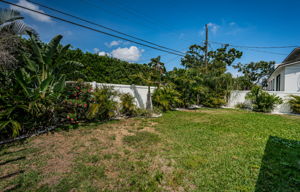 Backyard1