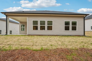 Atlanta - Ivey Township - 333 Ivey Twp Dr, Dallas, GA 30132 - 048