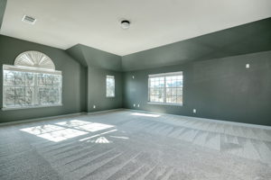 Family Room/Game Room/Flex Space