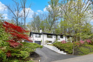  Photo 0
