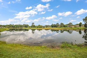 Pond View