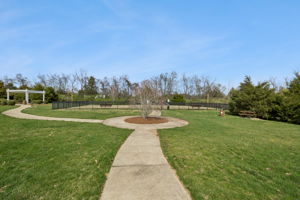 Common area, showing picnic areas and teh dog park
