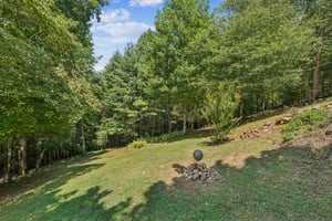 Local_Flavor_Films-334_Dillons_Ridge_Rd_Morganton_GA _Cumming_GA-386.jpg