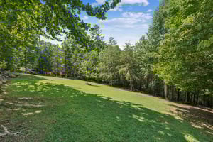 Local_Flavor_Films-334_Dillons_Ridge_Rd_Morganton_GA _Cumming_GA-391.jpg