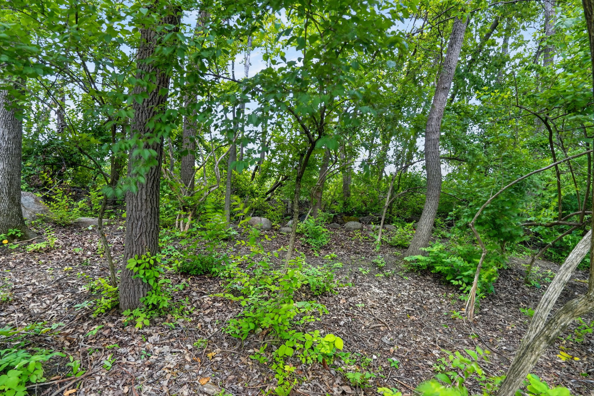  Photo 40