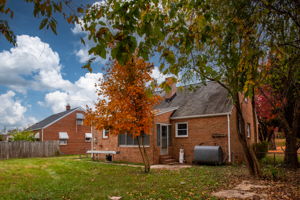  Photo 46