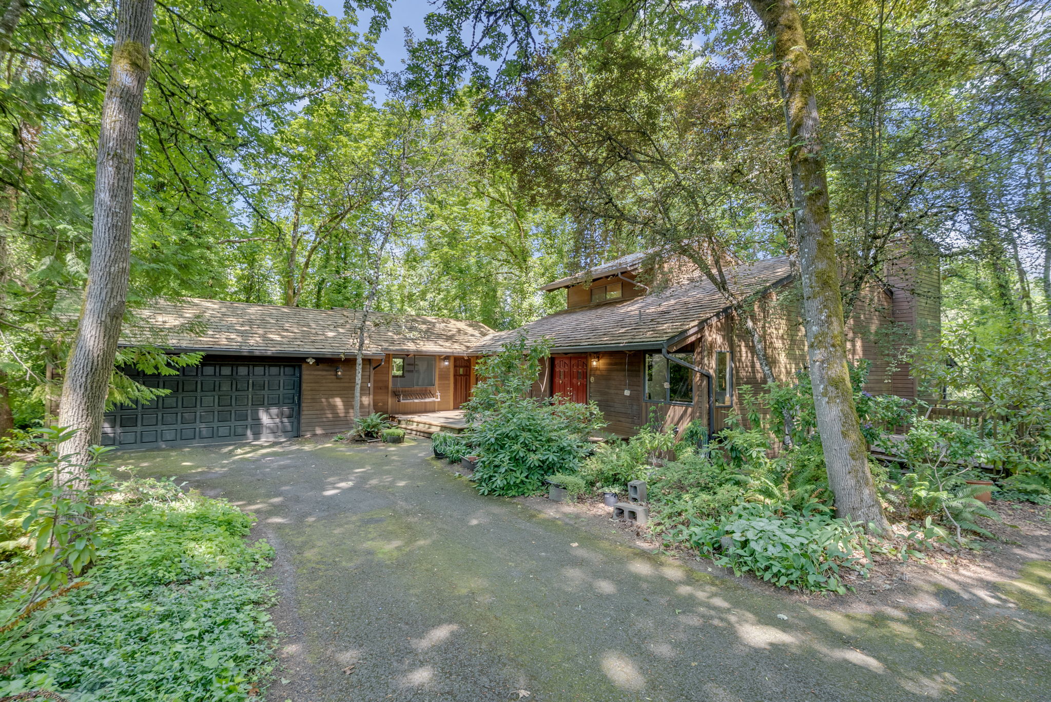  Photo 54