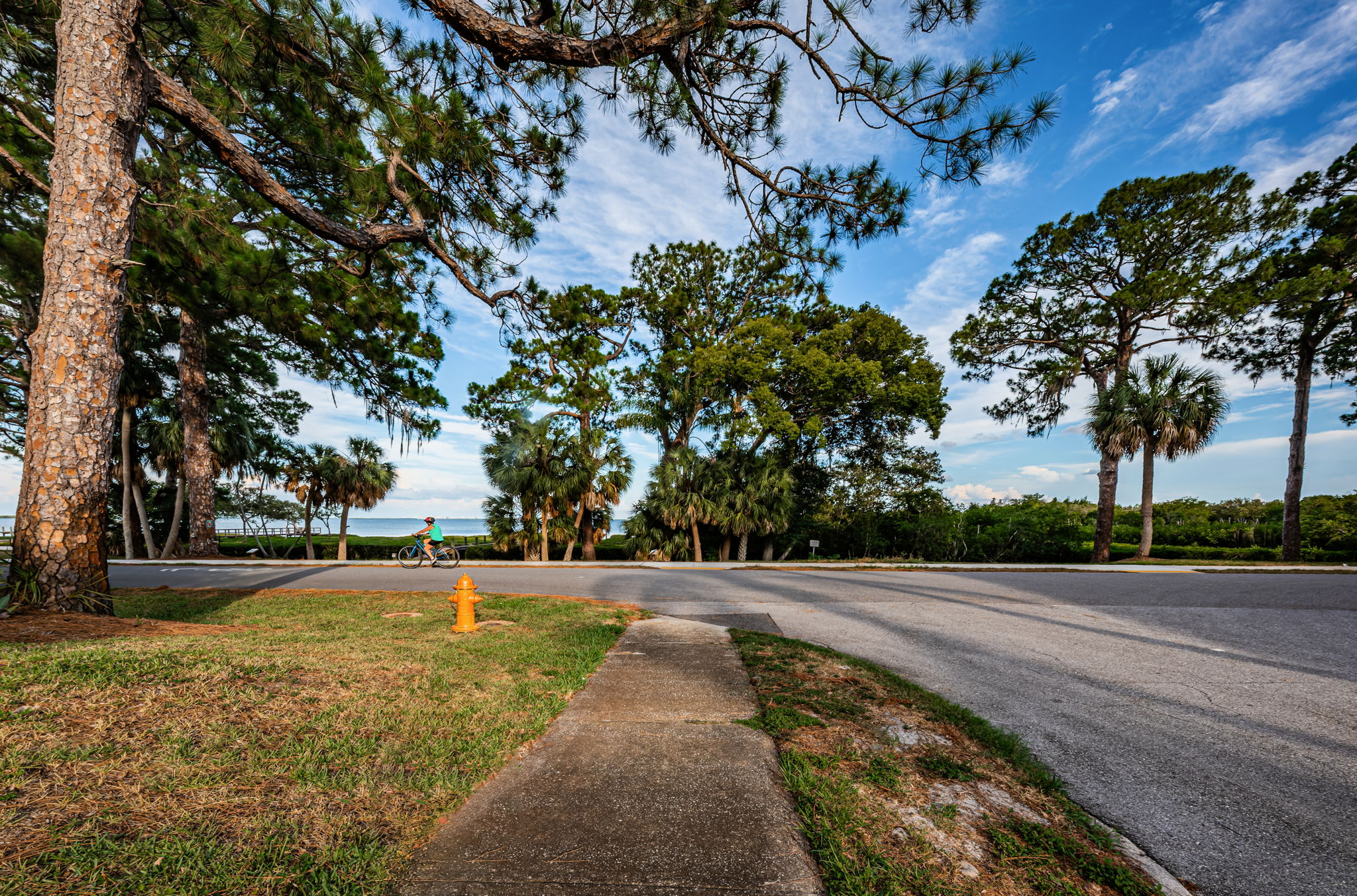 Bayshore Blvd Trail1