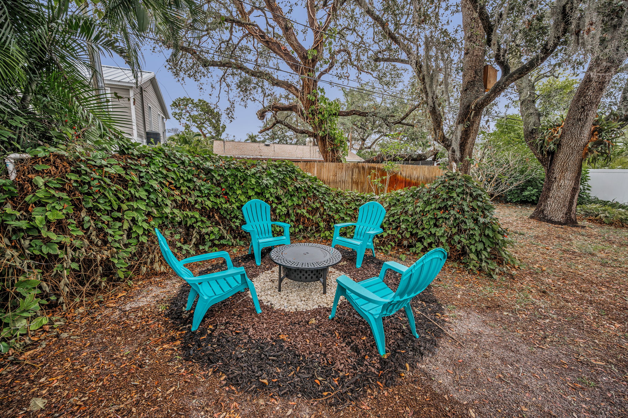 Backyard2