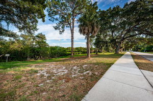 Bayshore Blvd Trail3