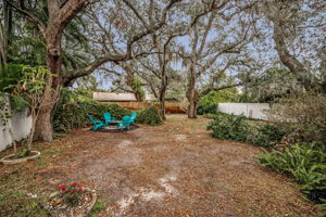 Backyard1