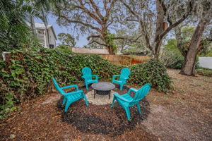 Backyard2