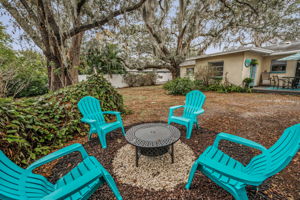 Backyard3